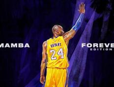 开云体育中国-他在团队的荣耀里孤独闪耀，武切维奇，用一场决赛走出所有巨人的阴影