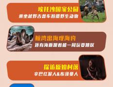 开云官网-津巴布韦与赞比亚对决，关键之战即将打响