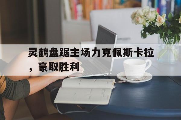 开云体育平台APP-灵鹤盘踞主场力克佩斯卡拉，豪取胜利