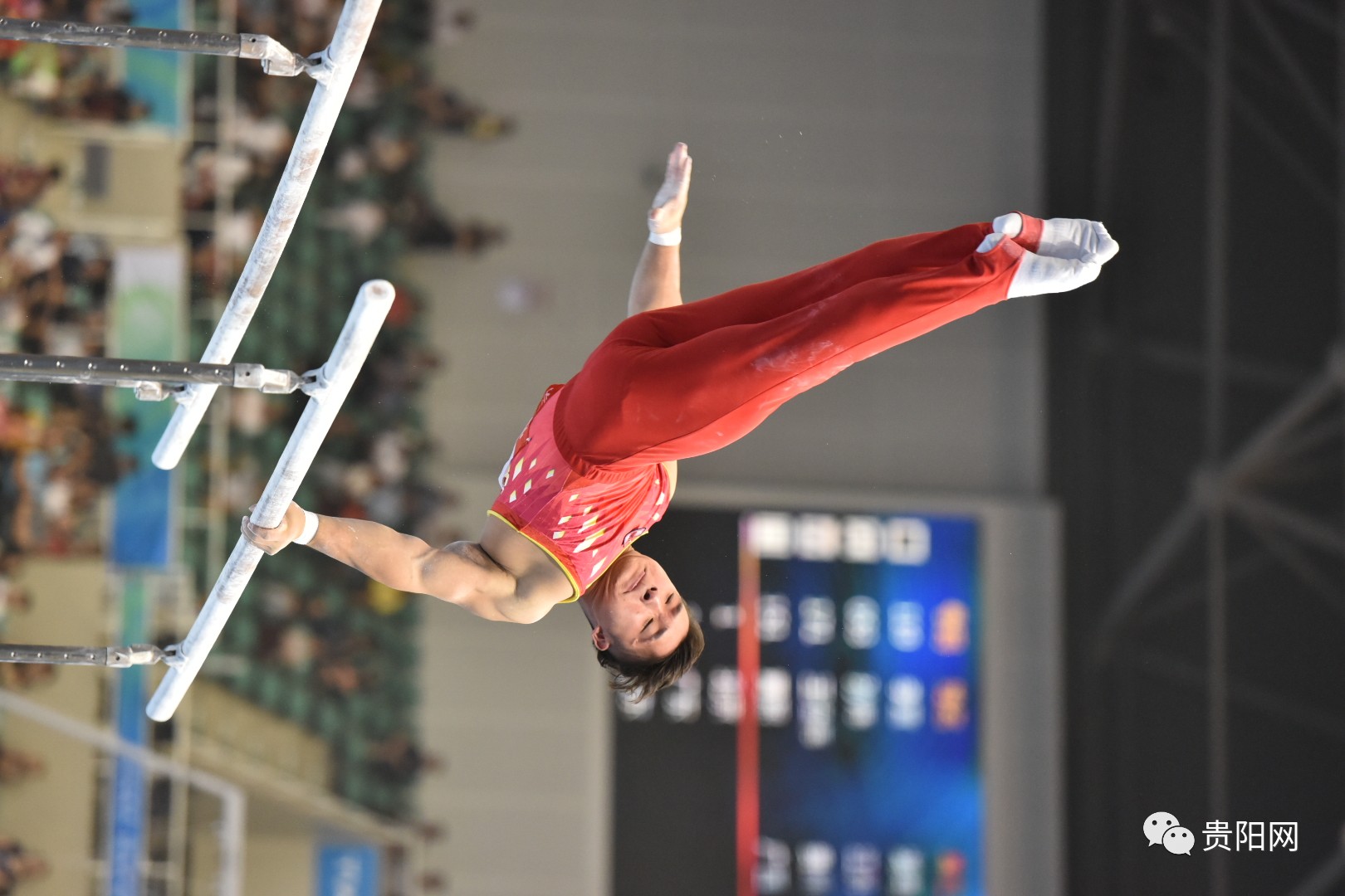 开云体育平台APP-包含斯洛伐克队历史性晋级，气势如虹的词条