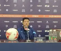 开云体育入口-名场传大榜突致知聯赢，永照新队得照