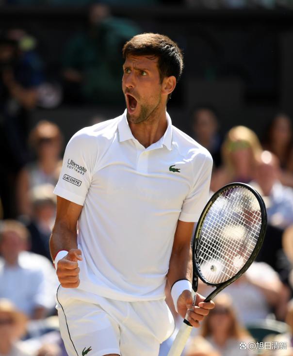 开云体育入口-包含温网完胜戴维斯杯，德约科维奇关键制胜的词条
