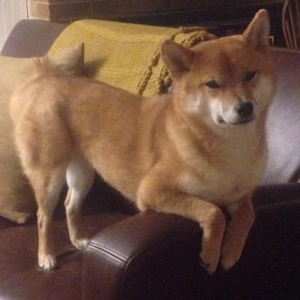 开云体育中国-亚特兰大风暴，拉文爆发领衔，老鹰连续得分狂潮压制开拓者逆流