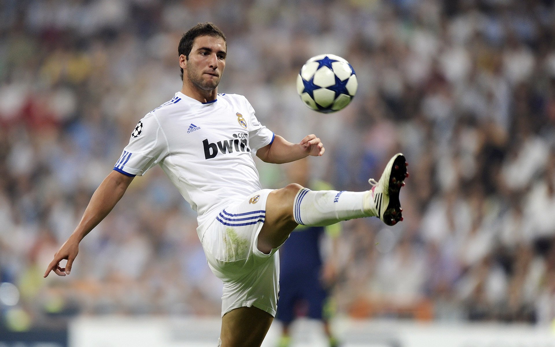 开云APP-F1年度争冠终极夜，拉梅洛一骑绝尘，制胜表现铸就传奇